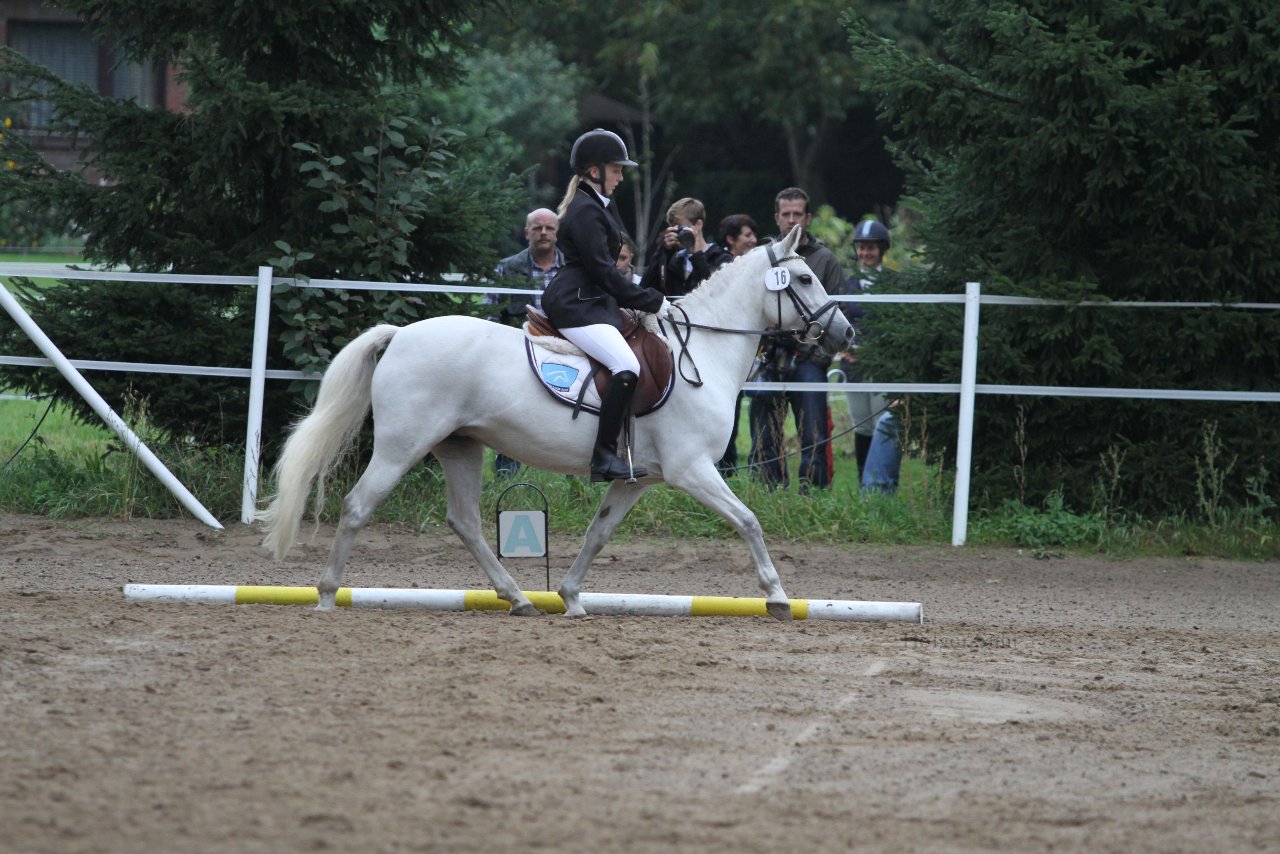 Bild 368 - WBO-Turnier am 18.9.11